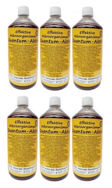 EM Aktiv von Quantum 6 Liter Einzelflaschen